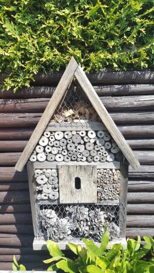 Insektenhaus mehrere Jahre alt