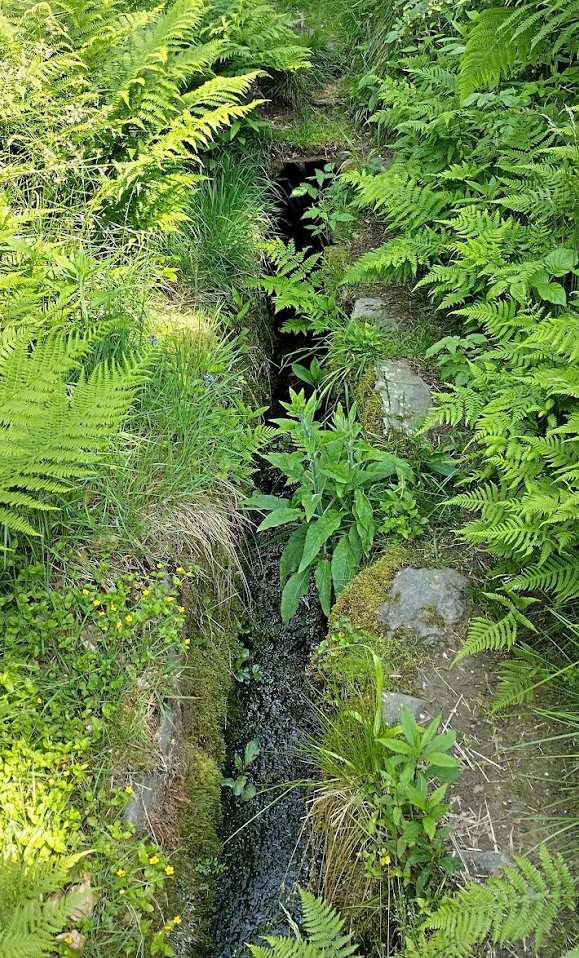 Wasserstandpegel der Innerste